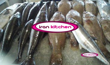 راه اندازی فروشگاه مرغ و ماهی در سراسر کشور